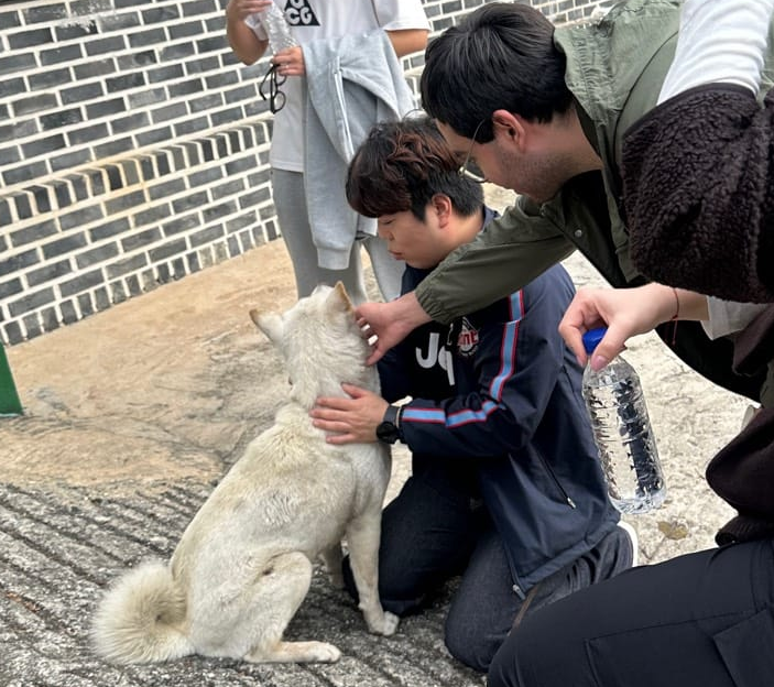 백구와 교감하는 직원들 모습 ⓒ ORSKOREA 오알에스코리아